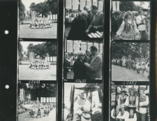 Wgląd&oacute;wka, 1 - 9 Wojew&oacute;dzkie dożynki w Opolu Lubelskim