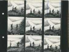 Wgląd&oacute;wka, 1 - 12 Jesienne odłowy ryb w Suchowoli pow Radzyń Podl