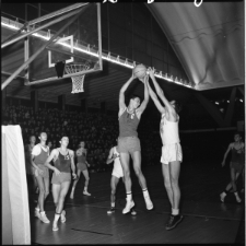 Skan Negatywu, Sygnatura 2054