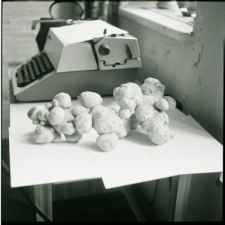 Skan negatywu, sygnatura 1561