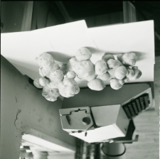 Skan negatywu, sygnatura 1561