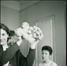 Skan negatywu, sygnatura 1561