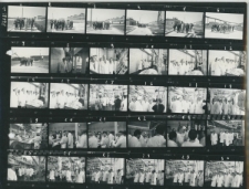 Wgląd&oacute;wka, 1 - 39 W czasie pobytu na Lubelszczyźnie I sekretarz KC PZPR Edward Girek w towarzystwie I sekretarza KW PZPR Piotra Karpiuka, przewodniczącego Prez. WRN Ryszarda W&oacute;jcika oraz dyrektora J&oacute;zefa Sidora zwiedził Łukowskie Zakłady Mięsne