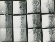 Wgląd&oacute;wka, 1 - 12 Budowa w czynie społecznym parku na Rusałce