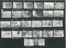 Wgląd&oacute;wka, 1 - 26 Szron na trasie do Białej Podlaskiej