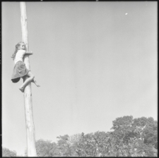 Skan negatywu, sygnatura 2779