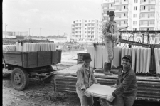 Skan negatywu, sygnatura 1903