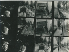 Wgląd&oacute;wka, 1 &ndash; 12 Pierwszy śnieg