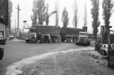 Skan Negatywu, 1 - 30 Niedziela czynu partyjnego