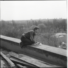 Skan Negatywu, 1 &ndash; 12 Migawki