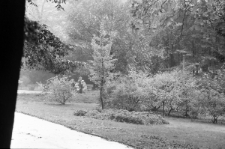 Skan Negatywu, 1 - 30 Zawodnicy WKS Lublinianka