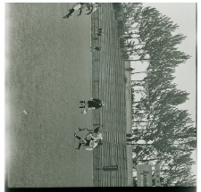 Skan Negatywu, Sygnatura 744