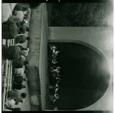 Skan Negatywu, Sygnatura 744