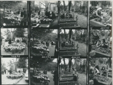 Wgląd&oacute;wka, 1 - 12 Przed Świętem Zmarłych