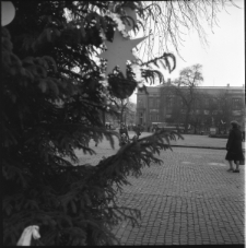 Skan Negatywu, 1 &ndash; 12 Migawki