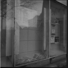 Skan Negatywu, 1 &ndash; 12 Migawki