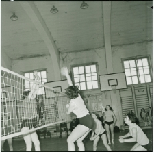 Skan Negatywu, Sygnatura 2547