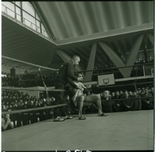 Skan Negatywu, Sygnatura 2547