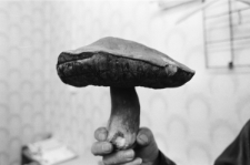 Skan Negatywu, 1 - 30 Migawki