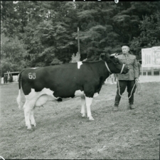 Skan Negatywu, Sygnatura 1607