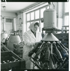 Skan Negatywu, 1 - 3 Migawki