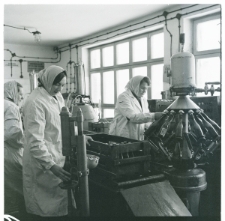 Skan Negatywu, 1 - 3 Migawki