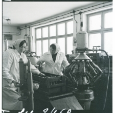 Skan Negatywu, 1 - 3 Migawki