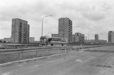 Skan negatywu, sygnatura 1895