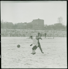 Skan Negatywu, Sygnatura 214