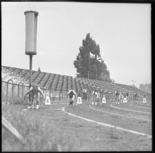 Skan Negatywu, Sygnatura 861