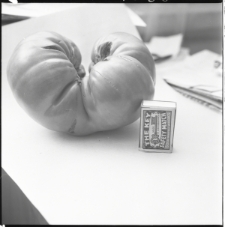 Skan Negatywu, 1 &ndash; 3 red Stanisław Krusiński, 4 &ndash; 5 red Wojciech Klusek, 6 &ndash; 8 red Cezary Mikulski