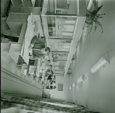 Skan Negatywu, 1 &ndash; 28 Migawki