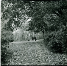 Skan negatywu, Sygnatura 1701