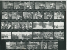 Wgląd&oacute;wka, 1 &ndash; 30 Święta w Lublinie