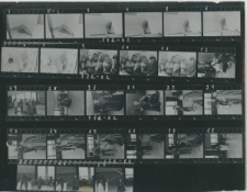 Wgląd&oacute;wka, 1 &ndash; 27 Na ten nowy rok