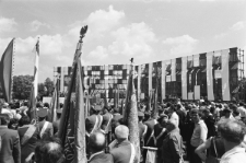 Skan negatywu, sygnatura 1902