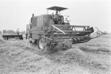 Skan negatywu, sygnatura 2860