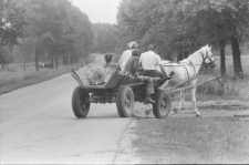 Skan negatywu, sygnatura 2860
