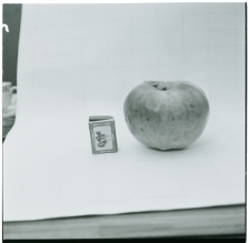 Skan Negatywu, 1 - 12 Migawki