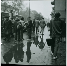 Skan Negatywu, 1 - 12 Migawki