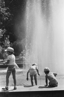 Skan Negatywu, Sygnatura 1905