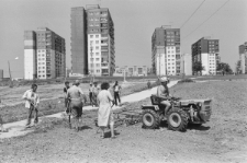 Skan Negatywu, Sygnatura 1905