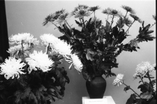 Skan Negatywu, Sygnatura 3057