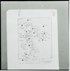 Skan Negatywu, Sygnatura 908