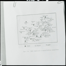 Skan Negatywu, Sygnatura 908