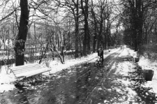 Skan Negatywu, Sygnatura 6