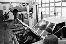 Skan Negatywu, Sygnatura 7