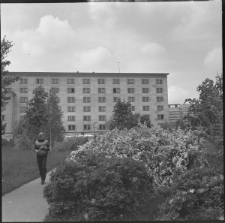 Skan negatywu, sygnatura 743