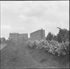 Skan negatywu, sygnatura 743