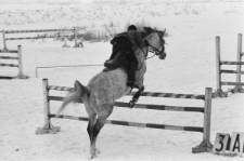 Skan negatywu, Sygnatura 905